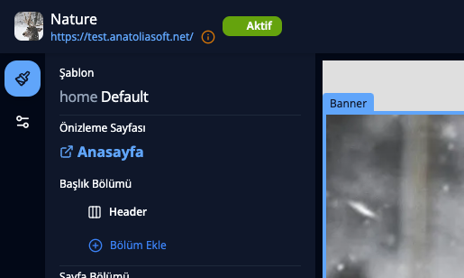 Design Editor